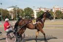 Dateiname=20160925_r03_096.jpg
Dateigröße=122KB
Abmessungen: 750x500
hinzugefügt am: 29. September 2016 20160925_r03_096.jpg