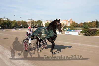 20160925_r04_121.jpg