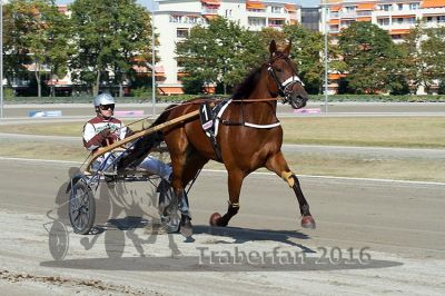 20160925_r05_033.jpg