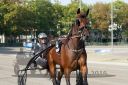 Dateiname=20160925_r05_071.jpg
Dateigröße=115KB
Abmessungen: 750x500
hinzugefügt am: 29. September 2016 20160925_r05_071.jpg
