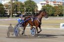 Dateiname=20160925_r05_107.jpg
Dateigröße=141KB
Abmessungen: 750x500
hinzugefügt am: 29. September 2016 20160925_r05_107.jpg