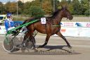 Dateiname=20160925_r06_045.jpg
Dateigröße=120KB
Abmessungen: 750x500
hinzugefügt am: 29. September 2016 20160925_r06_045.jpg