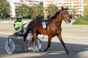 Dateiname=20160925_r06_063.jpg
Dateigröße=129KB
Abmessungen: 750x500
hinzugefügt am: 29. September 2016 20160925_r06_063.jpg