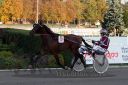 Dateiname=20160925_r09_047.jpg
Dateigröße=129KB
Abmessungen: 750x500
hinzugefügt am: 29. September 2016 20160925_r09_047.jpg
