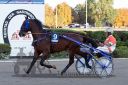 Dateiname=20160925_r09_080.jpg
Dateigröße=122KB
Abmessungen: 750x500
hinzugefügt am: 29. September 2016 20160925_r09_080.jpg