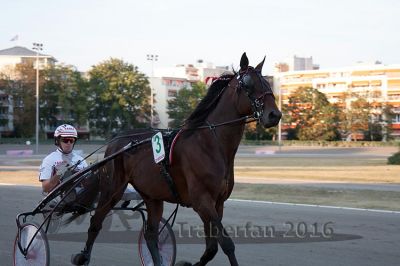 20160925_r10_074.jpg