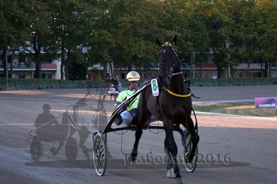 20160925_r10_076.jpg