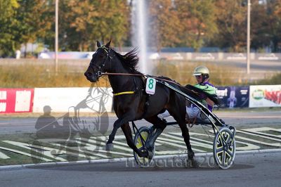 20160925_r10_088.jpg