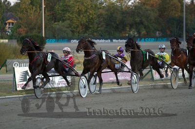 20160925_r10_143.jpg