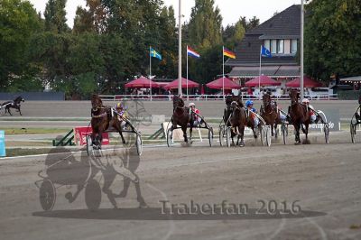 20160925_r10_162.jpg
