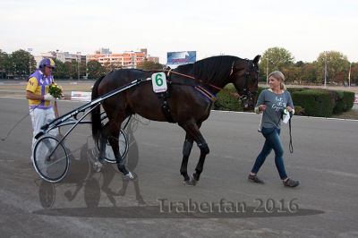 20160925_r10_275.jpg