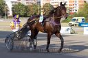 20160925_r10_042.jpg