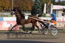 Dateiname=20160925_r10_044.jpg
Dateigröße=144KB
Abmessungen: 750x500
hinzugefügt am: 29. September 2016 20160925_r10_044.jpg