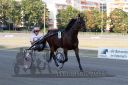 Dateiname=20160925_r10_057.jpg
Dateigröße=117KB
Abmessungen: 750x500
hinzugefügt am: 29. September 2016 20160925_r10_057.jpg