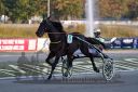 Dateiname=20160925_r10_089.jpg
Dateigröße=107KB
Abmessungen: 750x500
hinzugefügt am: 29. September 2016 20160925_r10_089.jpg