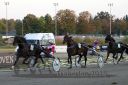 Dateiname=20160925_r10_146.jpg
Dateigröße=109KB
Abmessungen: 750x500
hinzugefügt am: 29. September 2016 20160925_r10_146.jpg