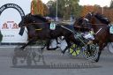 Dateiname=20160925_r10_185.jpg
Dateigröße=109KB
Abmessungen: 750x500
hinzugefügt am: 29. September 2016 20160925_r10_185.jpg