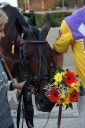 Dateiname=20160925_r10_243.jpg
Dateigröße=105KB
Abmessungen: 500x750
hinzugefügt am: 29. September 2016 20160925_r10_243.jpg