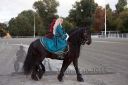 Dateiname=20161009_DR_028.jpg
Dateigröße=112KB
Abmessungen: 750x500
hinzugefügt am: 12. Oktober 2016 20161009_DR_028.jpg