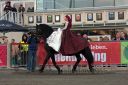 Dateiname=20161009_DR_065.jpg
Dateigröße=121KB
Abmessungen: 750x500
hinzugefügt am: 12. Oktober 2016 20161009_DR_065.jpg