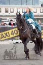 Dateiname=20161009_DR_094.jpg
Dateigröße=118KB
Abmessungen: 500x750
hinzugefügt am: 12. Oktober 2016 20161009_DR_094.jpg
