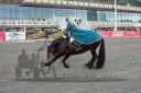 Dateiname=20161009_DR_161.jpg
Dateigröße=137KB
Abmessungen: 750x500
hinzugefügt am: 12. Oktober 2016 20161009_DR_161.jpg