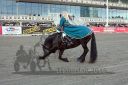 Dateiname=20161009_DR_163.jpg
Dateigröße=123KB
Abmessungen: 750x500
hinzugefügt am: 12. Oktober 2016 20161009_DR_163.jpg