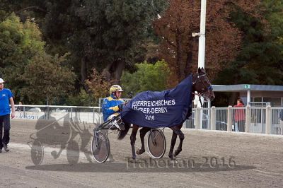 20161009_derby_053.jpg