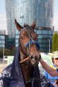 Dateiname=20161009_derby_009.jpg
Dateigröße=92KB
Abmessungen: 500x750
hinzugefügt am: 12. Oktober 2016 20161009_derby_009.jpg