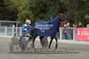 Dateiname=20161009_derby_054.jpg
Dateigröße=128KB
Abmessungen: 750x500
hinzugefügt am: 12. Oktober 2016 20161009_derby_054.jpg