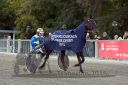 Dateiname=20161009_derby_055.jpg
Dateigröße=128KB
Abmessungen: 750x500
hinzugefügt am: 12. Oktober 2016 20161009_derby_055.jpg