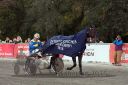 Dateiname=20161009_derby_058.jpg
Dateigröße=119KB
Abmessungen: 750x500
hinzugefügt am: 12. Oktober 2016 20161009_derby_058.jpg