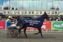 Dateiname=20161009_derby_064.jpg
Dateigröße=116KB
Abmessungen: 750x500
hinzugefügt am: 12. Oktober 2016 20161009_derby_064.jpg