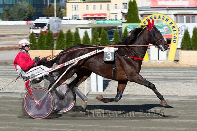 20161009_R02_027.jpg
