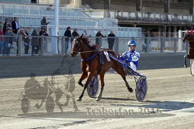 20161009_R02_047.jpg