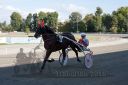 Dateiname=20161009_R02_006.jpg
Dateigröße=111KB
Abmessungen: 750x500
hinzugefügt am: 12. Oktober 2016 20161009_R02_006.jpg