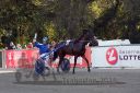 Dateiname=20161009_R02_069.jpg
Dateigröße=150KB
Abmessungen: 750x500
hinzugefügt am: 12. Oktober 2016 20161009_R02_069.jpg