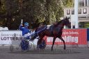 Dateiname=20161009_R02_072.jpg
Dateigröße=142KB
Abmessungen: 750x500
hinzugefügt am: 12. Oktober 2016 20161009_R02_072.jpg