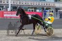 Dateiname=20161009_R03_024.jpg
Dateigröße=129KB
Abmessungen: 750x500
hinzugefügt am: 12. Oktober 2016 20161009_R03_024.jpg