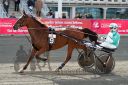 Dateiname=20161009_R03_029.jpg
Dateigröße=125KB
Abmessungen: 750x500
hinzugefügt am: 12. Oktober 2016 20161009_R03_029.jpg