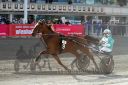 Dateiname=20161009_R03_042.jpg
Dateigröße=116KB
Abmessungen: 750x500
hinzugefügt am: 12. Oktober 2016 20161009_R03_042.jpg