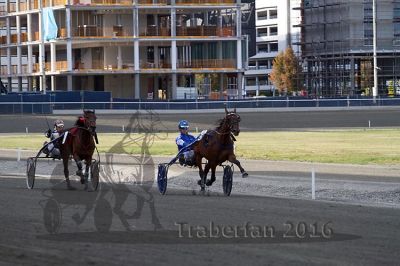 20161009_R05_061.jpg