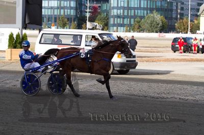 20161009_R05_073.jpg