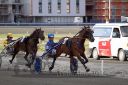 Dateiname=20161009_R05_046.jpg
Dateigröße=111KB
Abmessungen: 750x500
hinzugefügt am: 12. Oktober 2016 20161009_R05_046.jpg