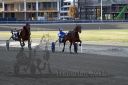 Dateiname=20161009_R05_064.jpg
Dateigröße=107KB
Abmessungen: 750x500
hinzugefügt am: 12. Oktober 2016 20161009_R05_064.jpg