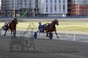 Dateiname=20161009_R05_066.jpg
Dateigröße=113KB
Abmessungen: 750x500
hinzugefügt am: 12. Oktober 2016 20161009_R05_066.jpg