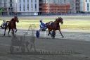 Dateiname=20161009_R05_068.jpg
Dateigröße=114KB
Abmessungen: 750x500
hinzugefügt am: 12. Oktober 2016 20161009_R05_068.jpg