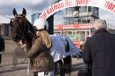 Dateiname=20161009_R05_086.jpg
Dateigröße=118KB
Abmessungen: 750x500
hinzugefügt am: 12. Oktober 2016 20161009_R05_086.jpg