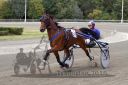 Dateiname=20161009_R07_031.jpg
Dateigröße=114KB
Abmessungen: 750x500
hinzugefügt am: 12. Oktober 2016 20161009_R07_031.jpg