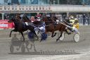 Dateiname=20161009_R07_036.jpg
Dateigröße=126KB
Abmessungen: 750x500
hinzugefügt am: 12. Oktober 2016 20161009_R07_036.jpg